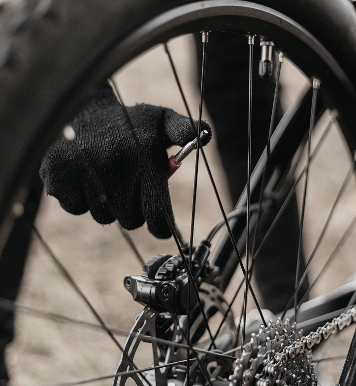 Tradizione e passione su due ruote | Cicli Miotto